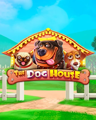 The-Dog-House