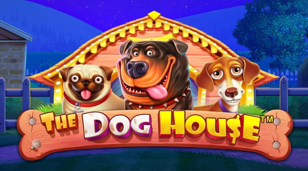 The Dog House Slot at night