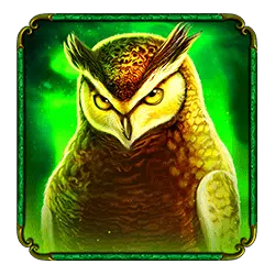 madame destiny megaways owl